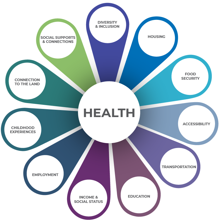 Health is: Housing, Food Security, Accessibility, Transportation, Education, Income and Social Status, Employment, Childhood Experiences, Connection to the Land, Social Supports and Connections, Diversity and Inclusion.