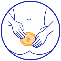 An inch of an internal condom outside a graphic of a vulva.
